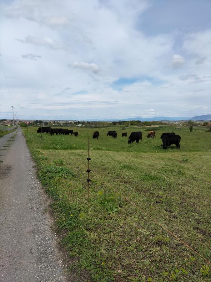 Rod Ranch Livestock - Appartamento Con Camino E Vista Piscina Кампаняно ди Рома Екстериор снимка