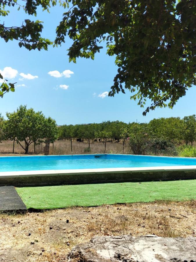 Rod Ranch Livestock - Appartamento Con Camino E Vista Piscina Кампаняно ди Рома Екстериор снимка